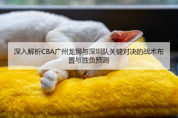 深入解析CBA广州龙狮与深圳队关键对决的战术布置与胜负预测（NG28）